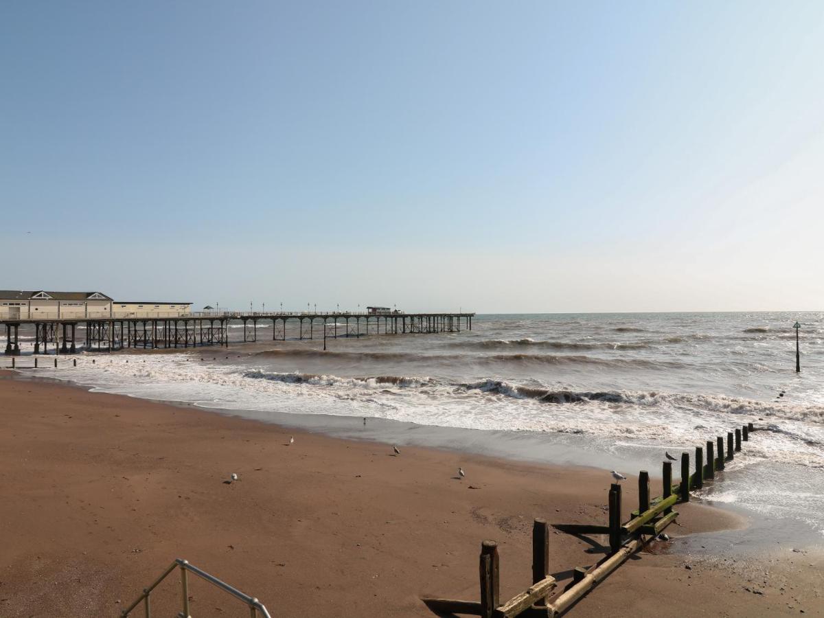 Sea Thrift Teignmouth Exterior foto